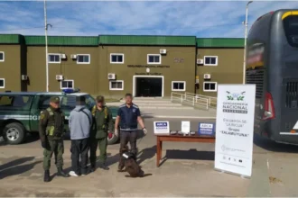 Decomiso de marihuana en Ruta 38: detienen a pasajero con carga desde La Quiaca
