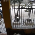Robo de moto en Alto Comedero: delincuentes captados por cámaras de seguridad