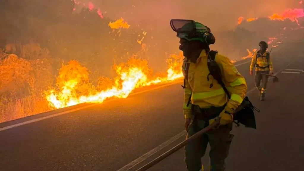 Advierten sobre el riesgo de incendios en Jujuy por basura, viento Zonda y pasto cubano