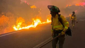 Advierten sobre el riesgo de incendios en Jujuy por basura, viento Zonda y pasto cubano