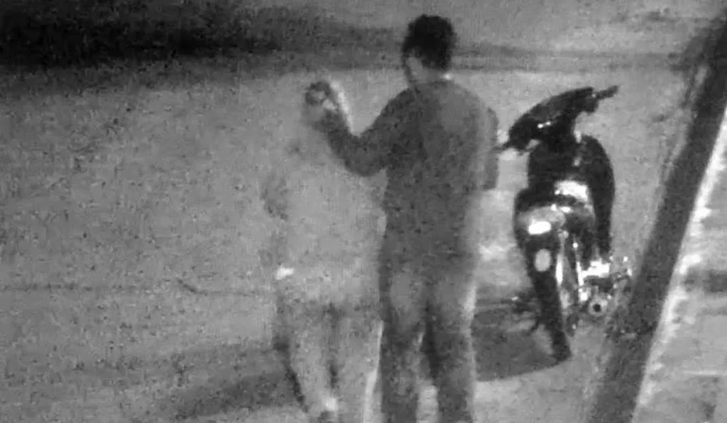Agresión en La Quiaca: mujer denunció golpes de su pareja tras fiesta patronal