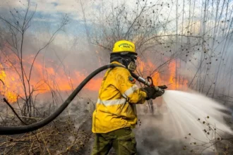 Alerta por incendios en Jujuy: pasto seco y viento Zonda preocupantes en Alto Comedero y Palpalá