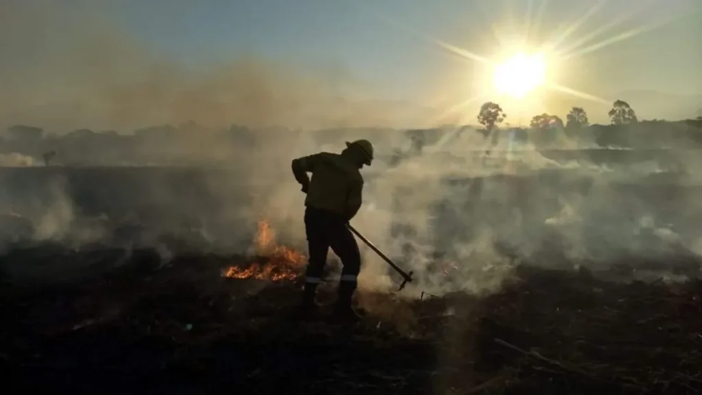Alerta por vientos fuertes e incendios forestales en Jujuy