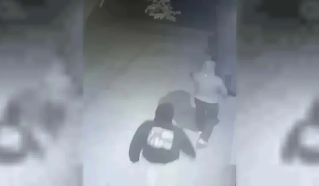 Asalto comando en Santa Bárbara: banda armada robó cuatro millones de pesos en una vivienda rural
