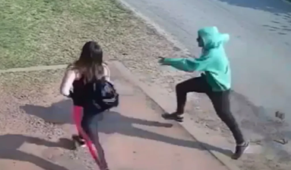 Brutal asalto en barrio Almirante Brown: la tiraron al piso y le robaron 0 mil