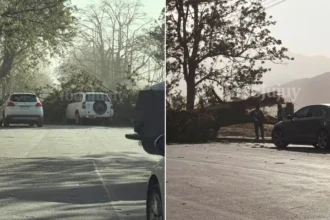 Caída de árbol sobre un auto en avenida Santibáñez: desvían el tránsito