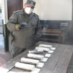 Cocaína en Chalicán: perra Doli detectó droga oculta en tanque de nafta