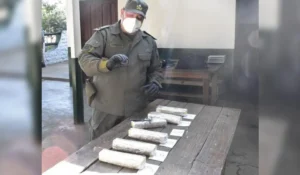 Cocaína en Chalicán: perra Doli detectó droga oculta en tanque de nafta