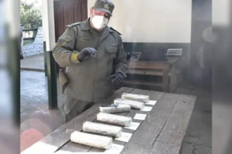 Cocaína en Chalicán: perra Doli detectó droga oculta en tanque de nafta