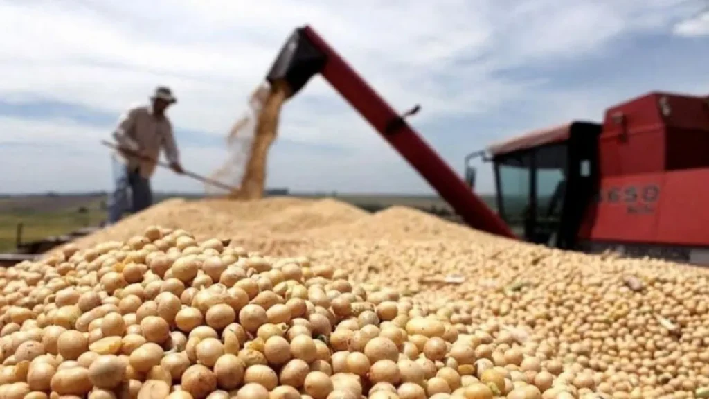Cosecha récord de soja: rendimientos históricos y exportaciones por US.500 millones