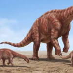 Descubren un nuevo dinosaurio en Uruguay de 83 millones de años