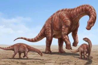 Descubren un nuevo dinosaurio en Uruguay de 83 millones de años