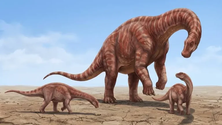 Descubren un nuevo dinosaurio en Uruguay de 83 millones de años
