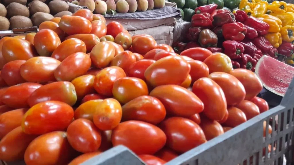 El precio del tomate subió un 41,74% en junio por el frío y la menor oferta