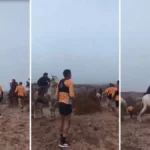 Gauchos contra runners: ataque con rebenques y boleadoras en Río Negro