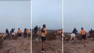 Gauchos contra runners: ataque con rebenques y boleadoras en Río Negro