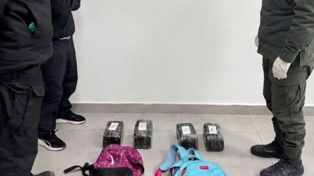 Gendarmería secuestró más de cuatro kilos de marihuana en Salta, en la frontera con Bolivia