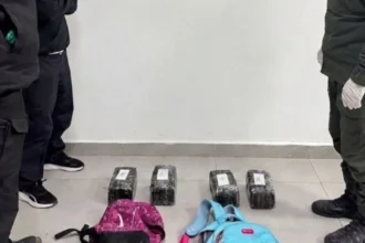 Gendarmería secuestró más de cuatro kilos de marihuana en Salta, en la frontera con Bolivia