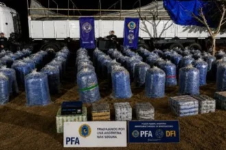 Golpe al contrabando en Ruta 34: más de seis toneladas de hojas de coca incautadas