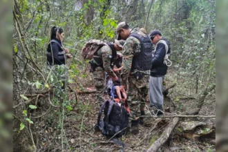 Rescate de abuelo desaparecido en Aguas Calientes: perro Rocco lo halló con vida