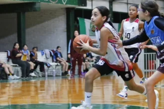 La clasificación histórica de Jujuy en el Argentino de Federaciones Mini