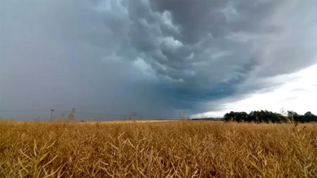 Gobierno activa un operativo federal El Niño para prevenir inundaciones