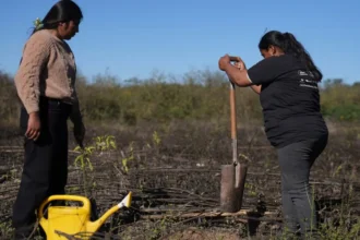 La muestra fotográfica premiada que destaca a Vinalito en Jujuy