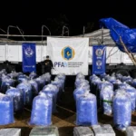 Más de 6 toneladas de hojas de coca secuestradas en Jujuy