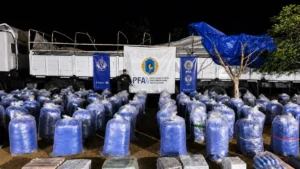 Más de 6 toneladas de hojas de coca secuestradas en Jujuy