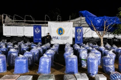 Más de 6 toneladas de hojas de coca secuestradas en Jujuy