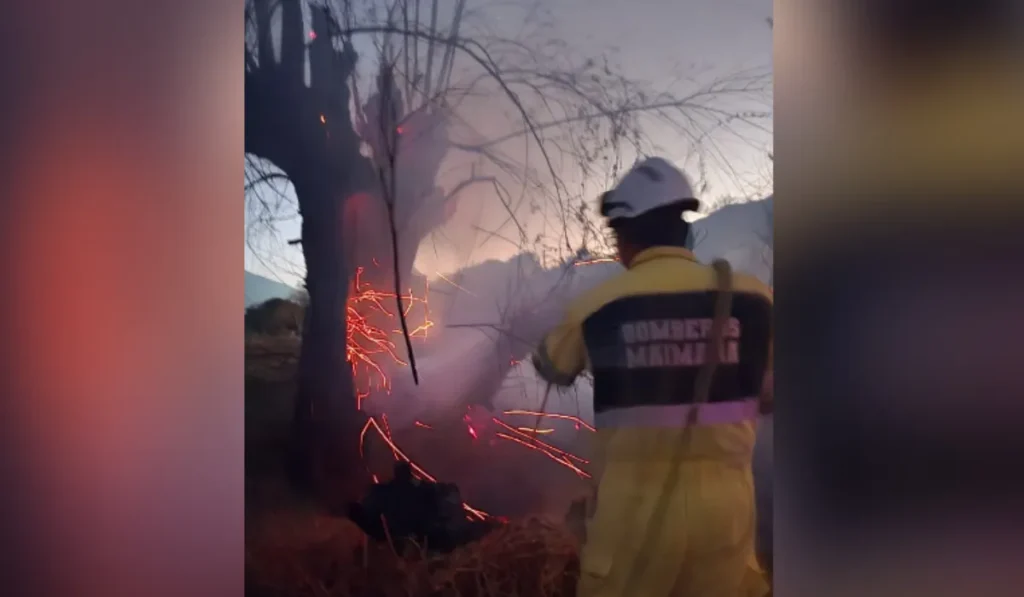 Quema de basura en Maimará destruyó árboles añejos en San Pedrito