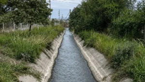 Revelan la causa de muerte de la pareja fallecida en Perico