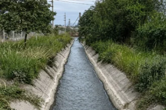 Revelan la causa de muerte de la pareja fallecida en Perico