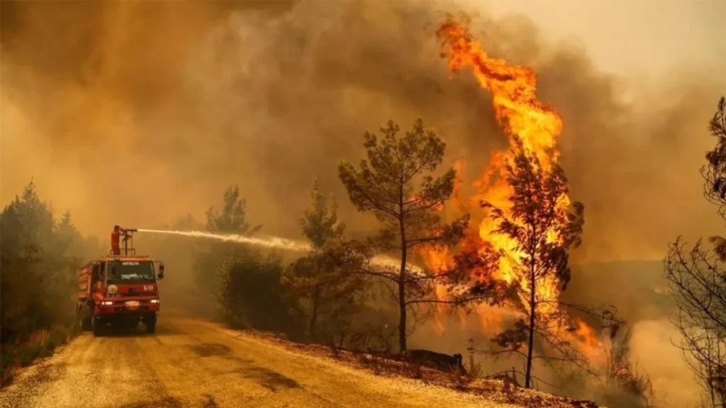 Riesgo extremo de incendios en Jujuy para el sábado