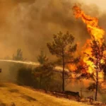 Riesgo extremo de incendios en Jujuy para el sábado