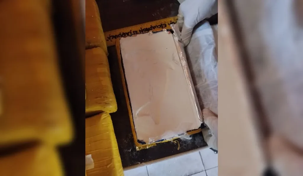 Rituales esotéricos y sangre animal: la trama mística de la banda narco que cayó en Jujuy