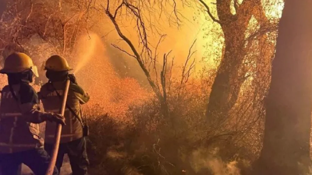 Salta: prohíben el loteo de terrenos quemados en incendios de Cafayate