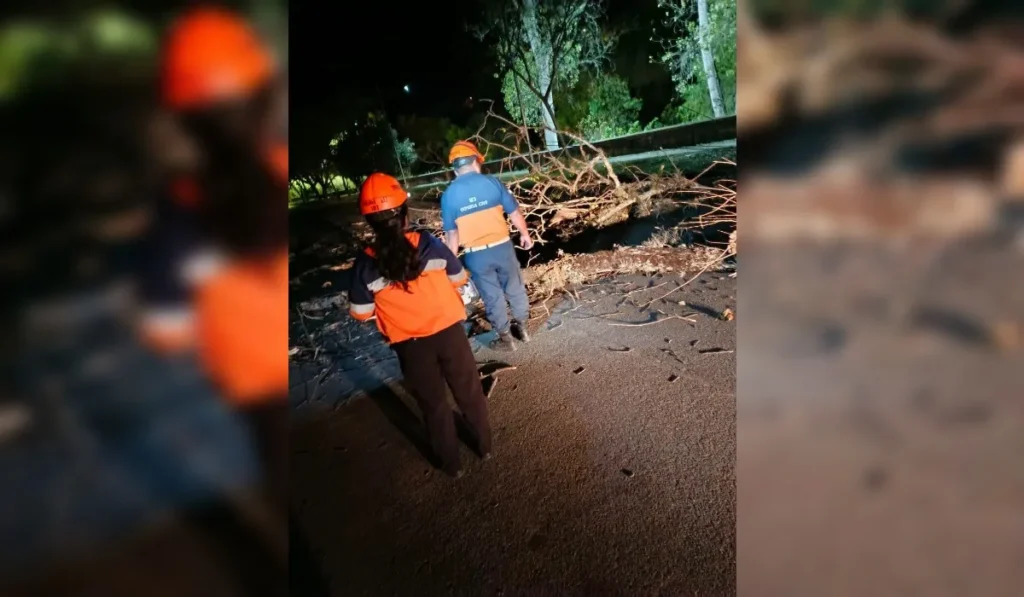 Viento zonda en Capital: techos volados, cables caídos y garitas colapsadas
