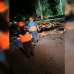 Viento zonda en Capital: techos volados, cables caídos y garitas colapsadas