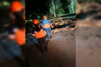 Viento zonda en Capital: techos volados, cables caídos y garitas colapsadas