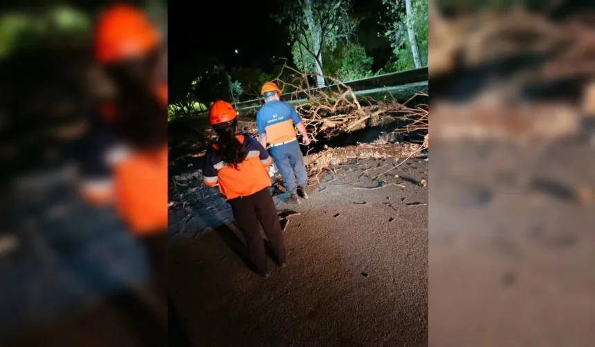 Viento zonda en Capital: techos volados, cables caídos y garitas colapsadas