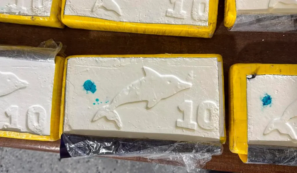 Causa por cocaína en La Quiaca: imputan al fletero y allanan en Capital