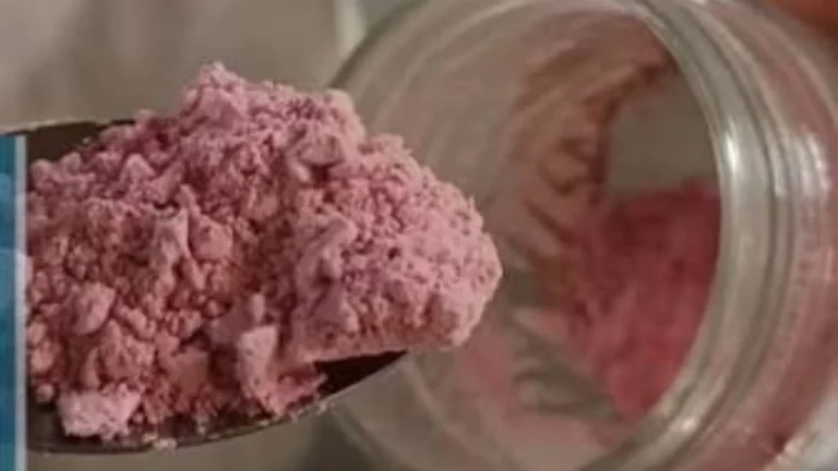 Crean un yogurt de cabra con pitaya roja y sin azúcar en la UNJu