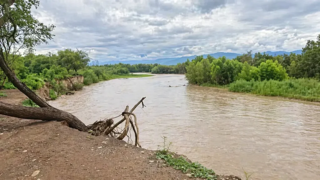 Desaparición en río Lavayén: buscan a un hombre de Fraile Pintado