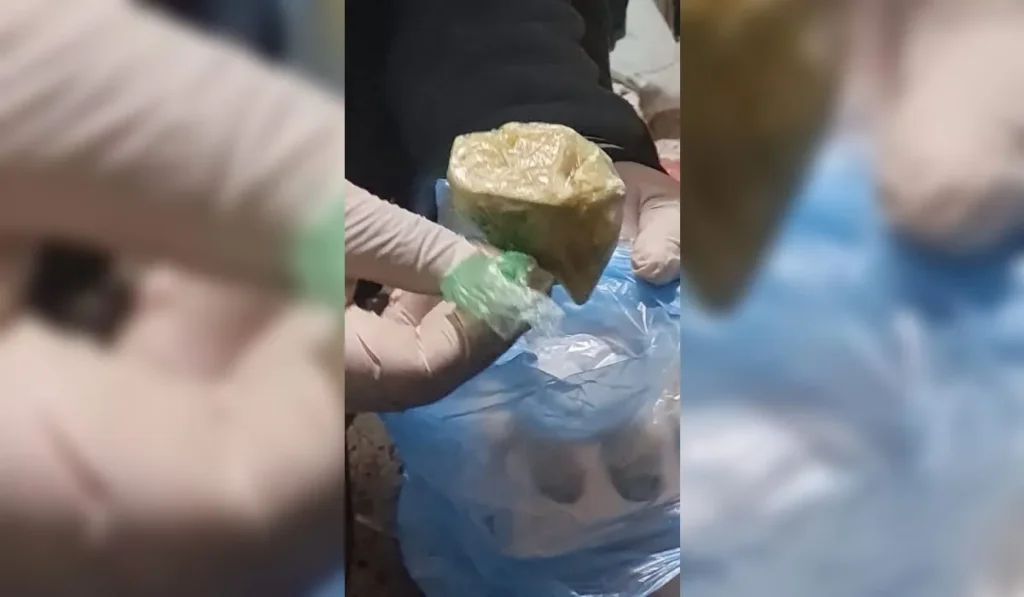 Desarticulan kioscos de droga en Campo Verde y El Chingo con más de 90 dosis
