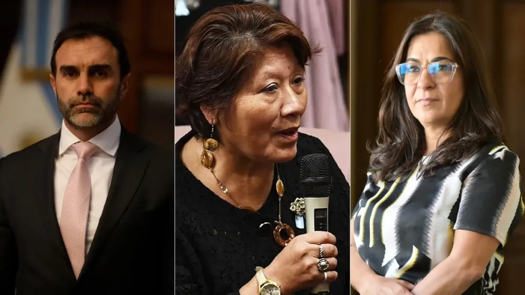 El voto de los senadores de Jujuy a la Ley de Propiedad Privada