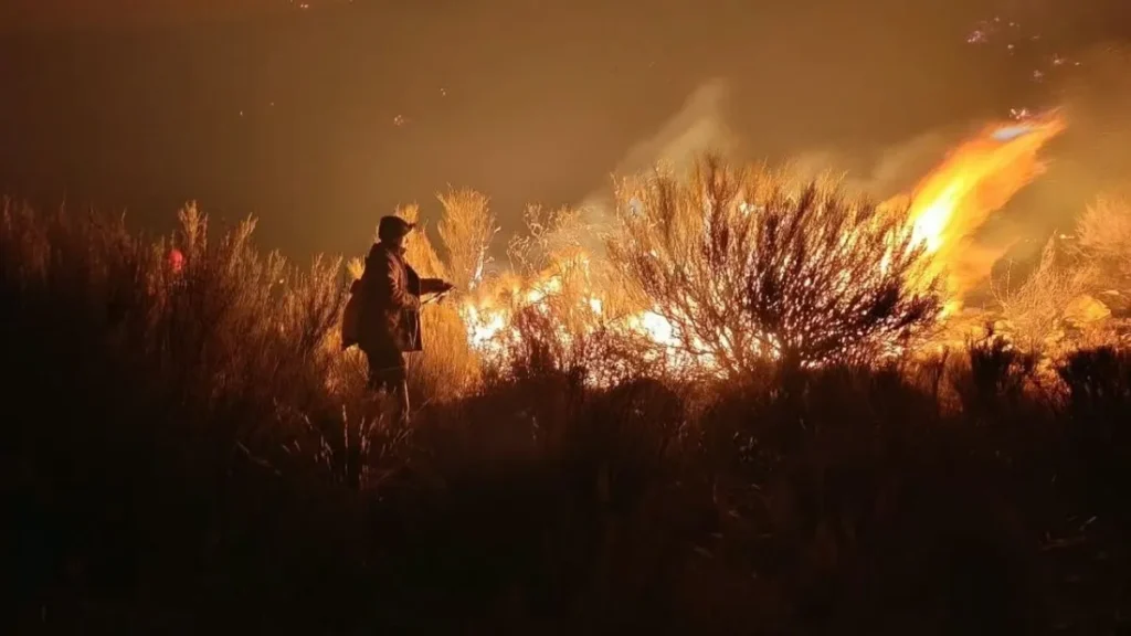 Incendio en la Puna jujeña arrasó cinco hectáreas de pastizales