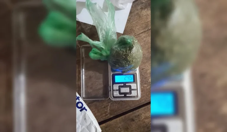 Operativos antidroga en seis localidades jujeñas: 24 detenidos