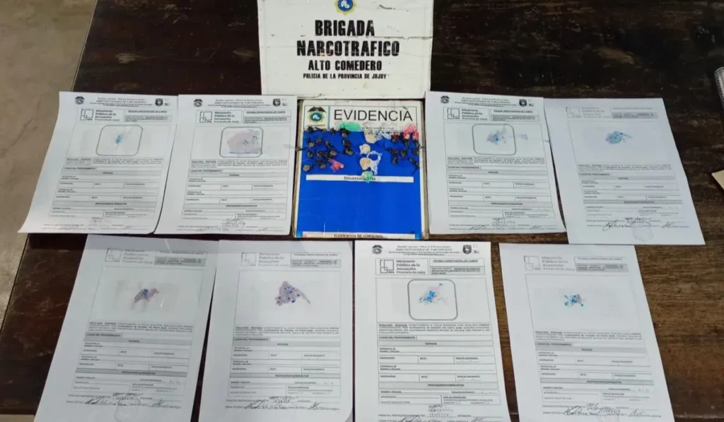 Operativos antidrogas en Jujuy: 13 procedimientos y 14 detenidos