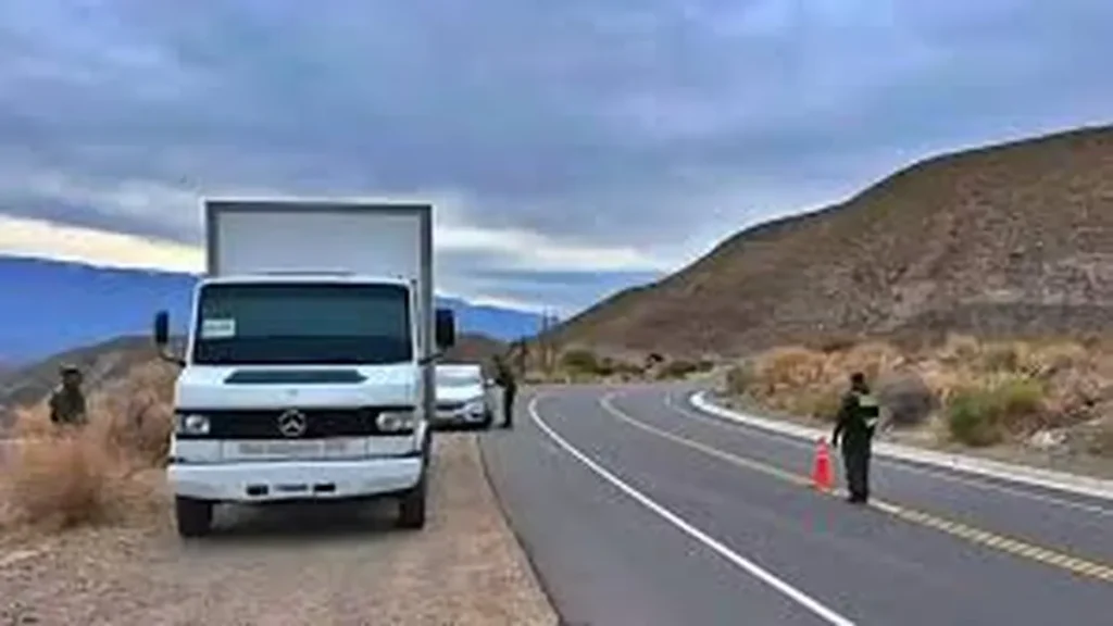Secuestran más de 770 kilos de hojas de coca en un camión en Tucumán